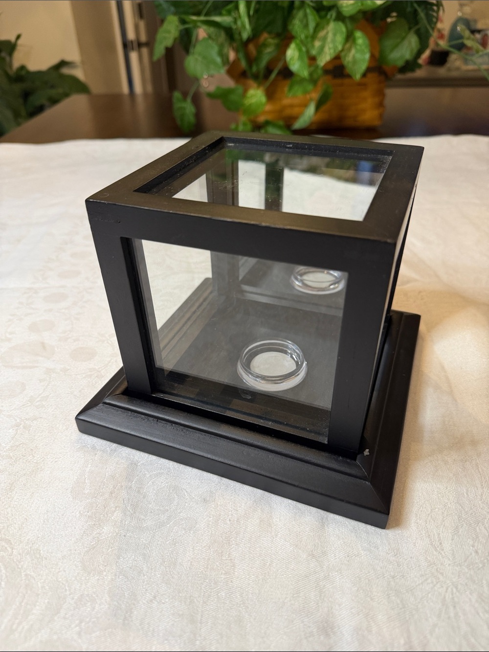 Baseball Display Case with Mirrior Back